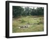 Denmark, Jutland, Bjerrgrav, Hvolris, Celtic Burial Ground with Circular Graves-null-Framed Giclee Print