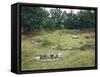 Denmark, Jutland, Bjerrgrav, Hvolris, Celtic Burial Ground with Circular Graves-null-Framed Stretched Canvas