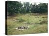 Denmark, Jutland, Bjerrgrav, Hvolris, Celtic Burial Ground with Circular Graves-null-Stretched Canvas