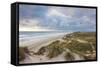 Denmark, Jutland, Danish Riviera, Hvide Sande, Coastal Dunes, Dusk-Walter Bibikow-Framed Stretched Canvas