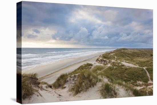 Denmark, Jutland, Danish Riviera, Hvide Sande, Coastal Dunes, Dusk-Walter Bibikow-Stretched Canvas