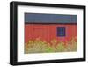 Denmark, Jutland, Gamle Skagen, Old Skagen, Red House Detail-Walter Bibikow-Framed Photographic Print