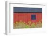 Denmark, Jutland, Gamle Skagen, Old Skagen, Red House Detail-Walter Bibikow-Framed Photographic Print