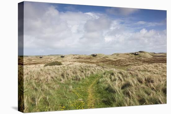 Denmark, Jutland, Hantsholm, Ww2-Era German Atlantic Wall Bunkers and Coastal Artillery-Walter Bibikow-Stretched Canvas