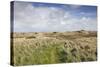 Denmark, Jutland, Hantsholm, Ww2-Era German Atlantic Wall Bunkers and Coastal Artillery-Walter Bibikow-Stretched Canvas