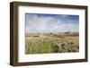 Denmark, Jutland, Hantsholm, Ww2-Era German Atlantic Wall Bunkers and Coastal Artillery-Walter Bibikow-Framed Photographic Print