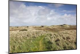 Denmark, Jutland, Hantsholm, Ww2-Era German Atlantic Wall Bunkers and Coastal Artillery-Walter Bibikow-Mounted Photographic Print