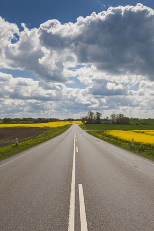 https://imgc.allpostersimages.com/img/posters/denmark-jutland-hobro-country-road-with-rapeseed-fields-springtime_u-L-Q13ARXJ0.jpg?artPerspective=n