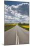 Denmark, Jutland, Hobro, Country Road with Rapeseed Fields, Springtime-Walter Bibikow-Mounted Photographic Print