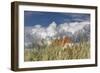 Denmark, Jutland, Lškken, House, Flag, Cloud-Harald Schšn-Framed Photographic Print