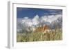 Denmark, Jutland, Lškken, House, Flag, Cloud-Harald Schšn-Framed Photographic Print