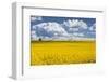 Denmark, Jutland, Odum, Rapeseed Field, Springtime-Walter Bibikow-Framed Photographic Print