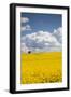 Denmark, Jutland, Odum, Rapeseed Field, Springtime-Walter Bibikow-Framed Photographic Print