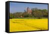 Denmark, Mon, Magleby, Town Church and Rapeseed Field, Springtime, Dawn-Walter Bibikow-Framed Stretched Canvas