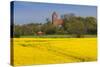 Denmark, Mon, Magleby, Town Church and Rapeseed Field, Springtime, Dawn-Walter Bibikow-Stretched Canvas