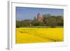 Denmark, Mon, Magleby, Town Church and Rapeseed Field, Springtime, Dawn-Walter Bibikow-Framed Photographic Print