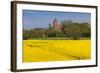 Denmark, Mon, Magleby, Town Church and Rapeseed Field, Springtime, Dawn-Walter Bibikow-Framed Photographic Print