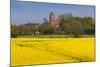 Denmark, Mon, Magleby, Town Church and Rapeseed Field, Springtime, Dawn-Walter Bibikow-Mounted Photographic Print