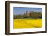 Denmark, Mon, Magleby, Town Church and Rapeseed Field, Springtime, Dawn-Walter Bibikow-Framed Photographic Print