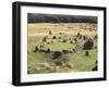 Denmark, North Jutland, Near Aalborg, Lindholm Hoje, Viking Burial-null-Framed Giclee Print