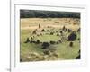 Denmark, North Jutland, Near Aalborg, Lindholm Hoje, Viking Burial-null-Framed Giclee Print