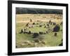 Denmark, North Jutland, Near Aalborg, Lindholm Hoje, Viking Burial-null-Framed Giclee Print