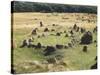 Denmark, North Jutland, Near Aalborg, Lindholm Hoje, Viking Burial-null-Stretched Canvas