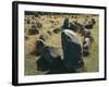 Denmark, North Jutland, Near Aalborg, Viking Burial Ground of Lindholm Hoje-null-Framed Giclee Print