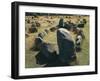 Denmark, North Jutland, Near Aalborg, Viking Burial Ground of Lindholm Hoje-null-Framed Giclee Print