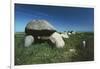 Denmark, Syddanmark, Aero Island, Dolmen-null-Framed Giclee Print