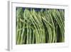 Denmark, Zealand, Copenhagen, Torvehallerne Kph, Asparagus-Walter Bibikow-Framed Photographic Print