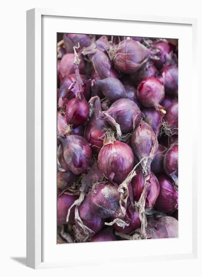 Denmark, Zealand, Copenhagen, Torvehallerne Kph, Onions-Walter Bibikow-Framed Photographic Print