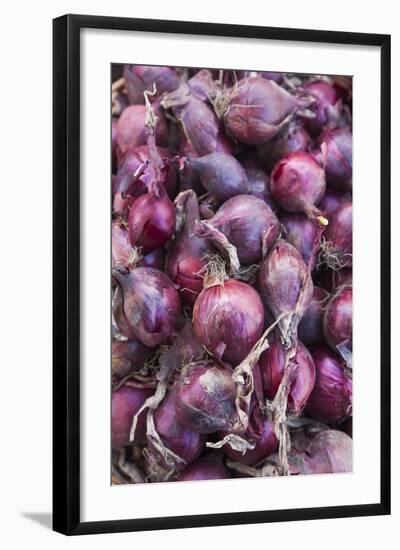 Denmark, Zealand, Copenhagen, Torvehallerne Kph, Onions-Walter Bibikow-Framed Photographic Print