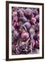 Denmark, Zealand, Copenhagen, Torvehallerne Kph, Onions-Walter Bibikow-Framed Photographic Print