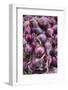 Denmark, Zealand, Copenhagen, Torvehallerne Kph, Onions-Walter Bibikow-Framed Photographic Print