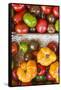 Denmark, Zealand, Copenhagen, Torvehallerne Kph, Tomatoes-Walter Bibikow-Framed Stretched Canvas