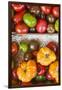 Denmark, Zealand, Copenhagen, Torvehallerne Kph, Tomatoes-Walter Bibikow-Framed Photographic Print