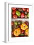 Denmark, Zealand, Copenhagen, Torvehallerne Kph, Tomatoes-Walter Bibikow-Framed Photographic Print