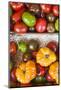 Denmark, Zealand, Copenhagen, Torvehallerne Kph, Tomatoes-Walter Bibikow-Mounted Photographic Print