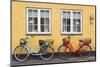 Denmark, Zealand, Soro, Traditional Danish Houses, Sogade Street-Walter Bibikow-Mounted Photographic Print