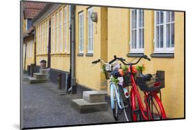 Denmark, Zealand, Soro, Traditional Danish Houses, Sogade Street-Walter Bibikow-Mounted Photographic Print