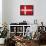 Denmark-David Bowman-Framed Stretched Canvas displayed on a wall