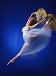 Ballerina Dancing-Dennis Degnan-Photographic Print