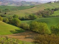 Countryside in Val d'Orcia-Dennis Degnan-Photographic Print