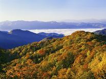 Forest in Autumn Color from Shot Beech Ridge, Great Smoky Mountains National Park, North Carolina-Dennis Flaherty-Photographic Print