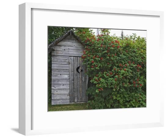 Framed Photographic Print, , large