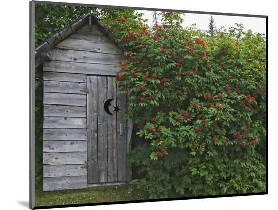 Photographic Print, , large