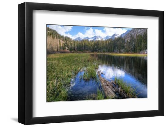 Premium Photographic Print, , large