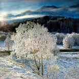 Frosty Winter Wonderland Near Glenfinnan, Lochaber-Dennis Hardley-Photographic Print
