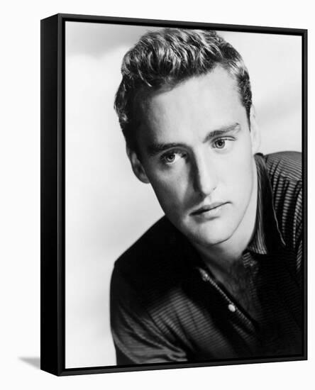 Dennis Hopper-null-Framed Stretched Canvas